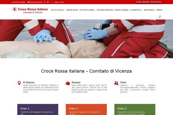Divi theme site design template sample
