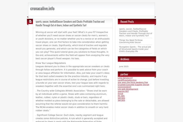 WordPress website example screenshot