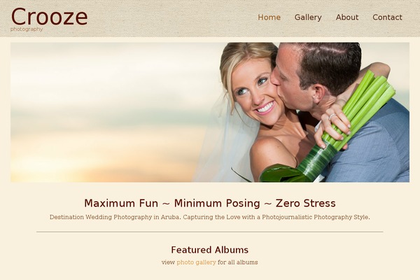 Virtue Premium theme site design template sample