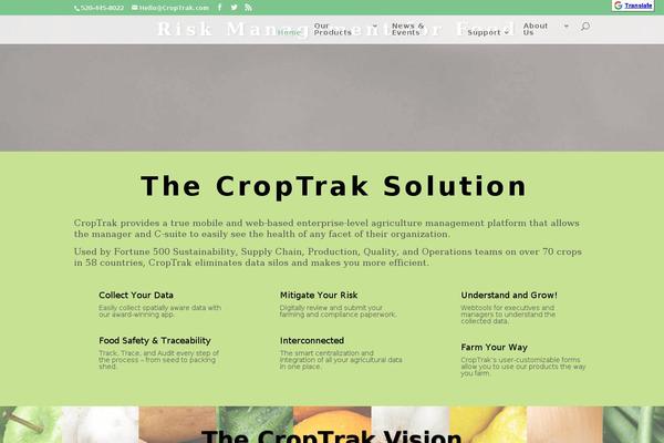 Divi theme site design template sample