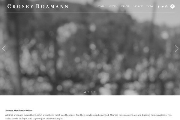 crosbyroamann.com site used Porcelain