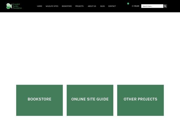 Basel-child theme site design template sample