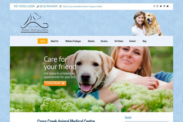 Site using Popups - WordPress Popup plugin