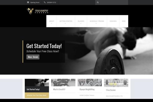 Fit Wp theme site design template sample