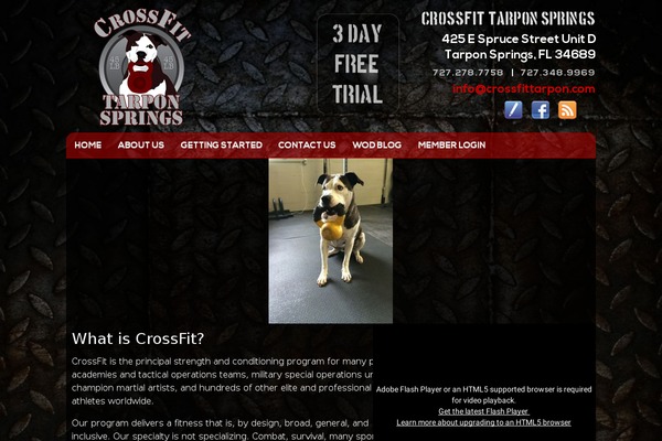 crossfittarponsprings.com site used Tarpon