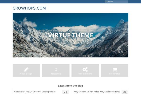 Virtue theme site design template sample