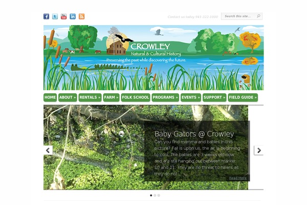 Chameleon theme site design template sample