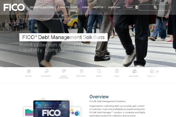 crsoftwarellc.com site used Fico