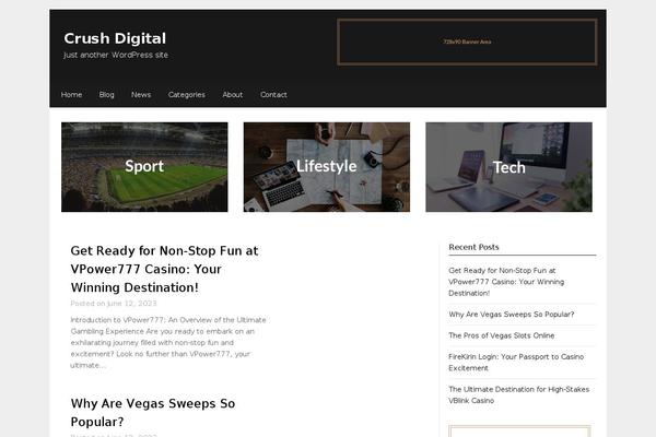 Daily Newspaper theme site design template sample