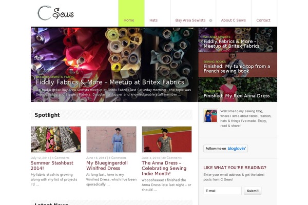 Delicious Magazine theme site design template sample