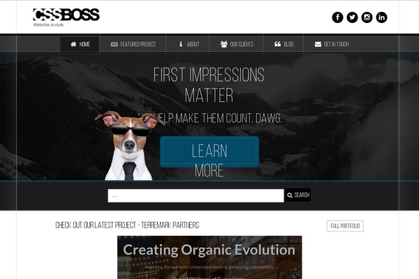 cssboss.com site used Orion
