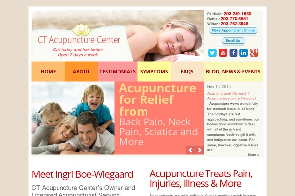 ctacupuncture theme websites examples