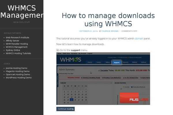WordPress website example screenshot