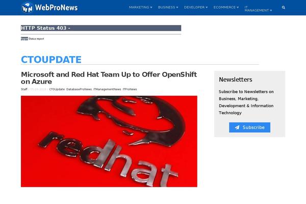 WordPress website example screenshot