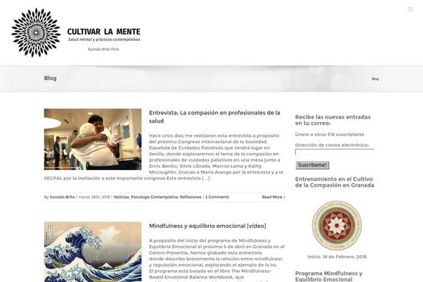 Avada theme site design template sample