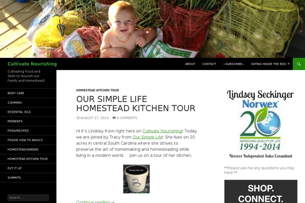 WordPress website example screenshot