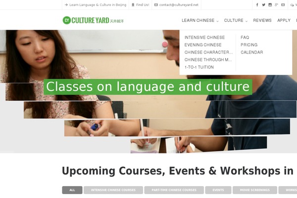 WordPress website example screenshot