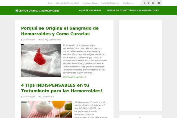 Magazine theme site design template sample