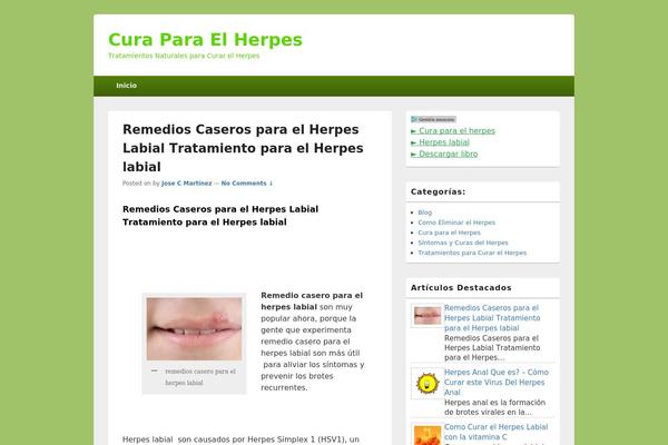 WordPress website example screenshot