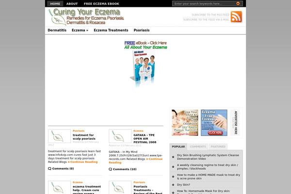 Premiumnews theme site design template sample