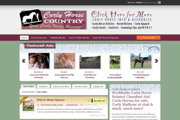 WordPress website example screenshot