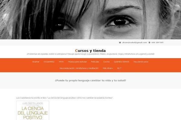 Sydney theme site design template sample