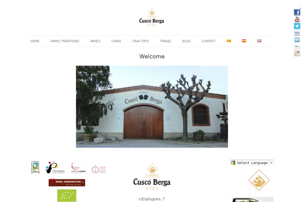 Site using WooCommerce Multilingual - run WooCommerce with WPML plugin