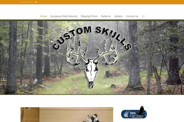 Divi theme site design template sample