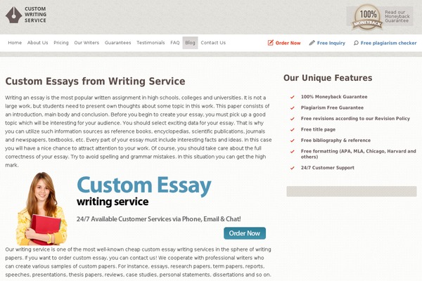 WordPress website example screenshot