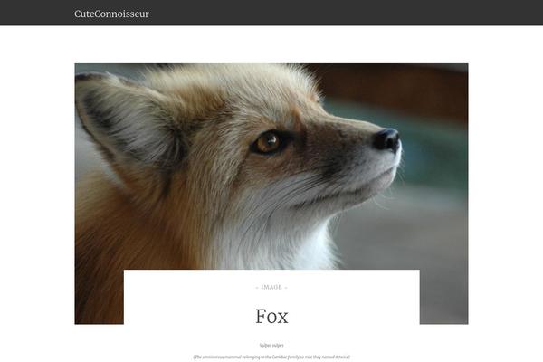 cuteconnoisseur.com site used Syntax-wpcom