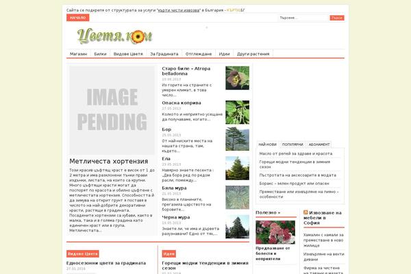 WordPress website example screenshot