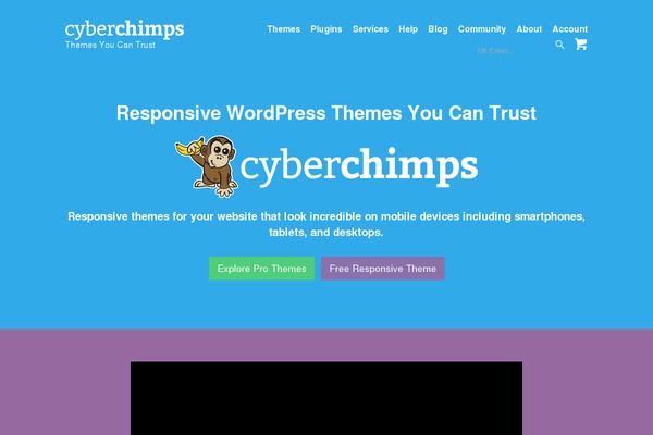 Site using Cyberchimps-custom plugin