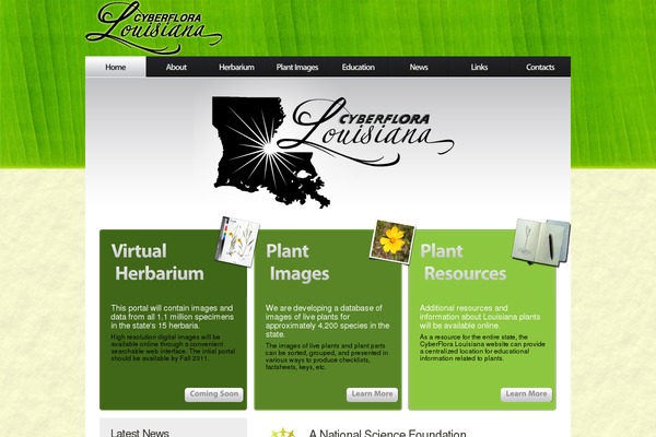 cyberfloralouisiana.com site used Cfla