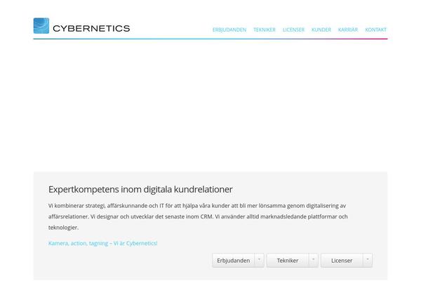 cybernetics.se site used Cybernetics