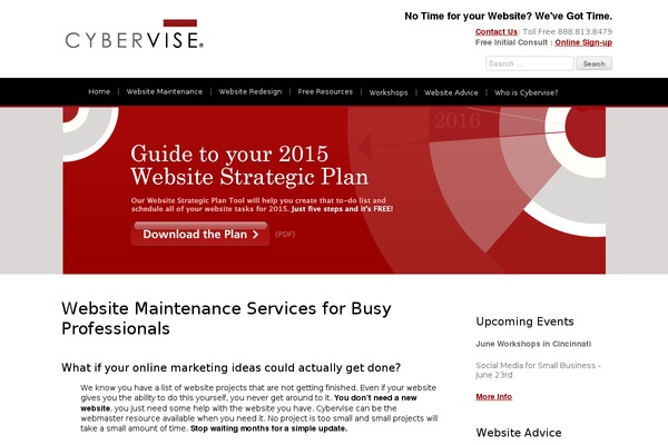 cybervise.com site used Cybervise