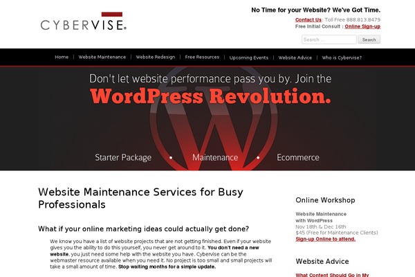 cybervise WordPress theme, websites list used cybervise theme cybervise theme websites examples