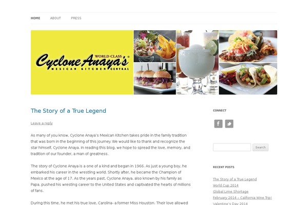 WordPress website example screenshot