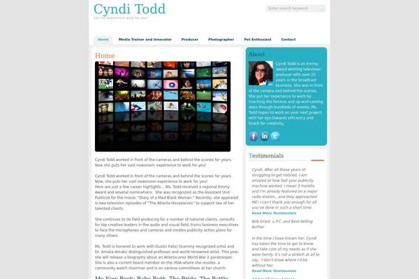 cynditodd.com site used zindi