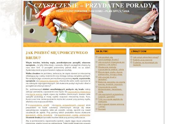 czyszczenie.pl site used Global_provider