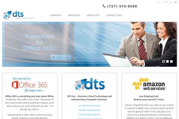 dts theme websites examples