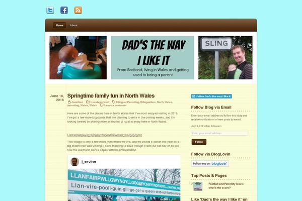 WordPress website example screenshot