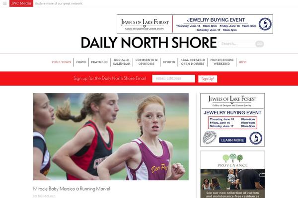 dailynorth theme websites examples