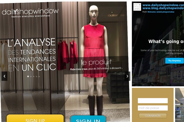 dsw theme websites examples