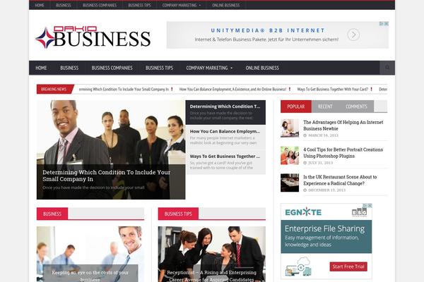 dakid-business.com site used NovoMag