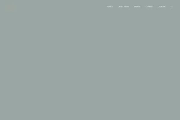 Bridge Child theme site design template sample