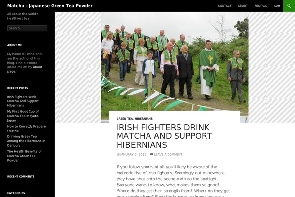 WordPress website example screenshot