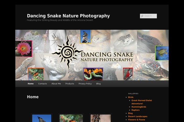 Twenty Eleven theme site design template sample