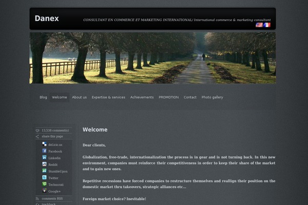 Grey Opaque theme site design template sample