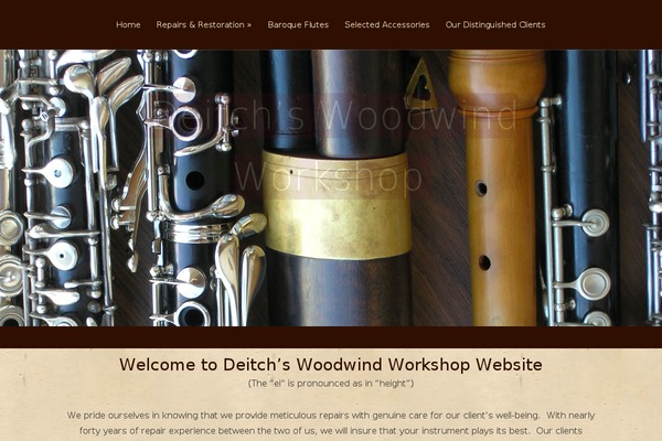 WordPress website example screenshot