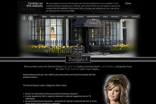 danielgalvinjunior.com site used Dgj